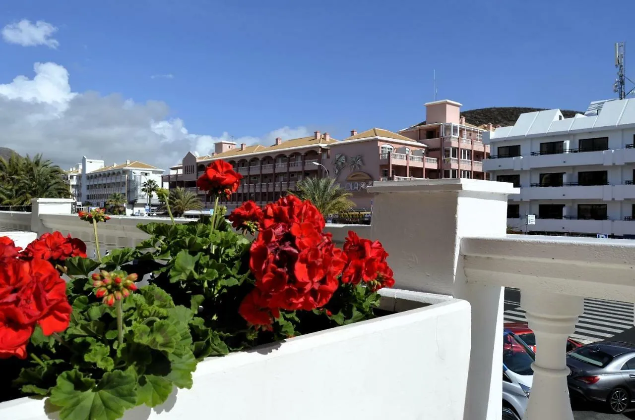 Townhouse El Camison Apartment Playa de las Americas